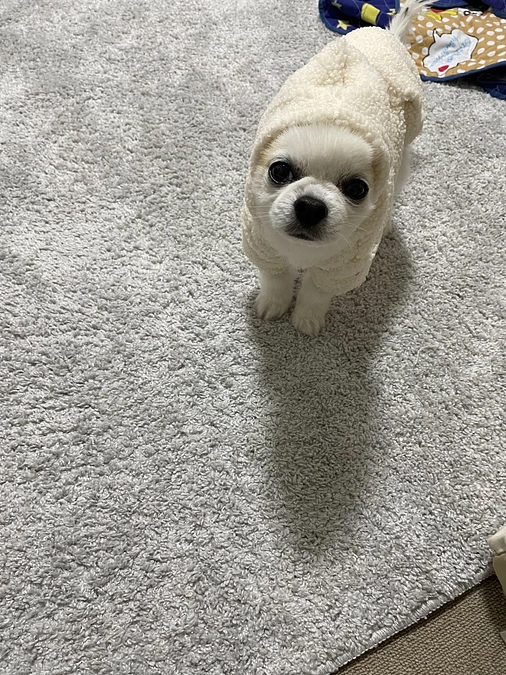 今日は少し調子が戻りました！！