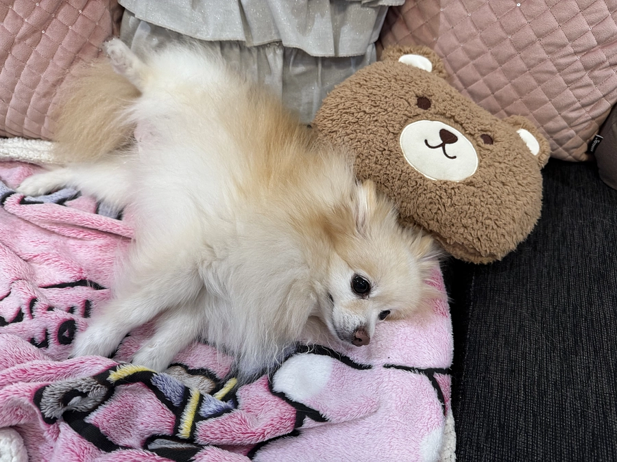 ちゅらはあんよでお返事してくれます