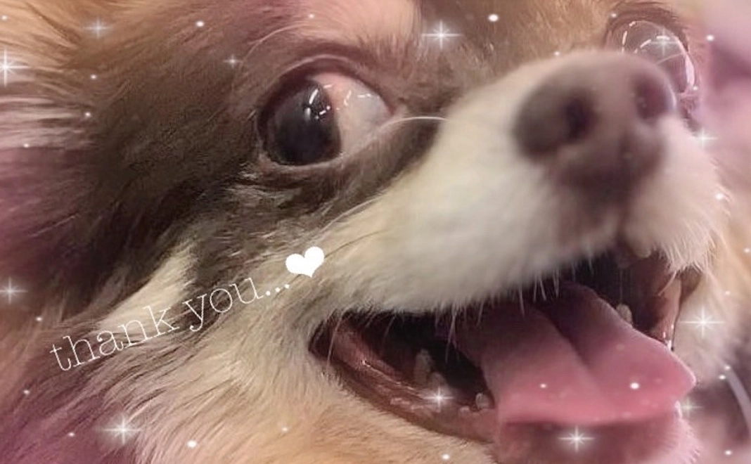 くりを応援!!2000