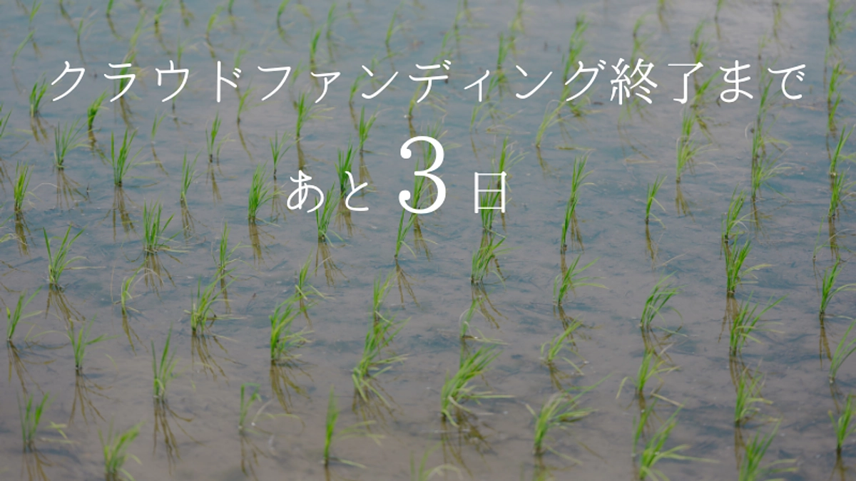 【残り3日】86%達成しました！