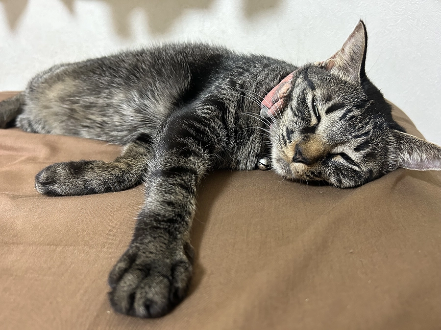 抗がん剤って。