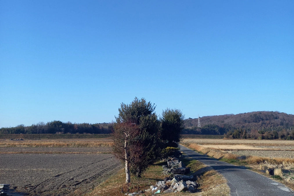 明けましておめでとうございます