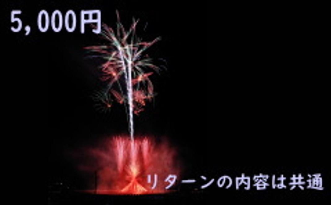 5,000円+システム利用料(220円)