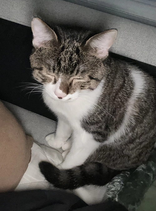 最近のしおくん⑤