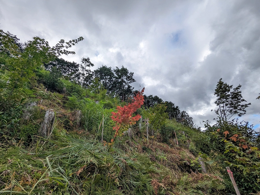 ありのままで〜2023年夏〜