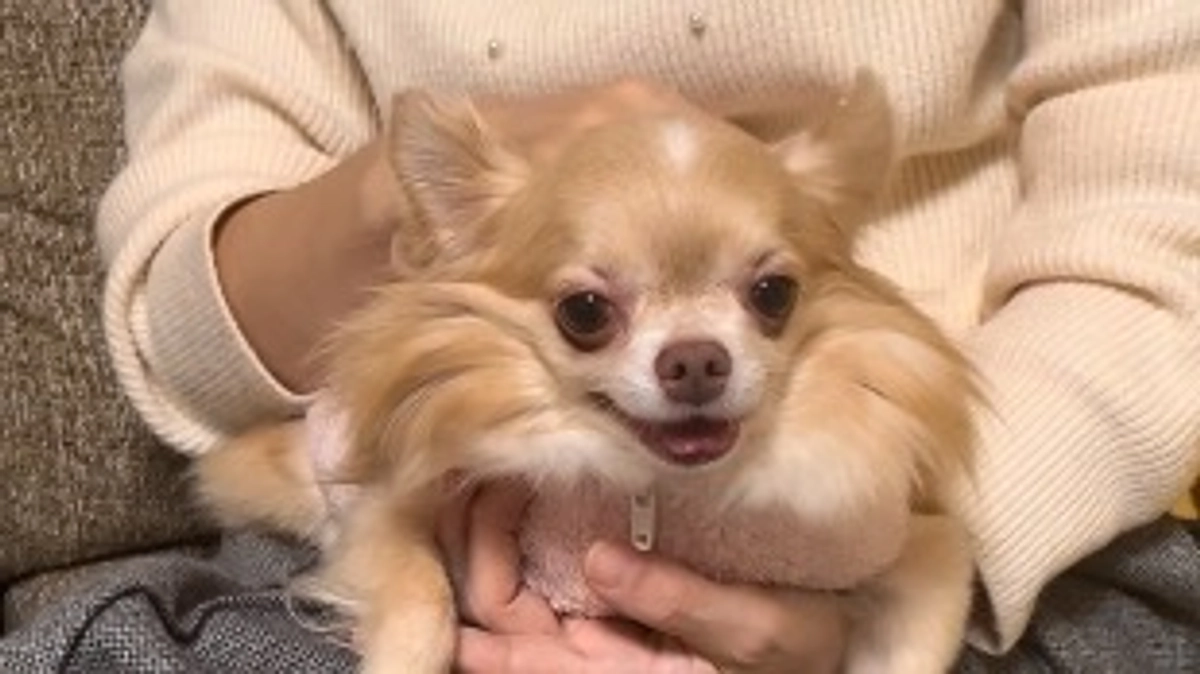 来年もよろしくお願いいたします🙇‍♀️