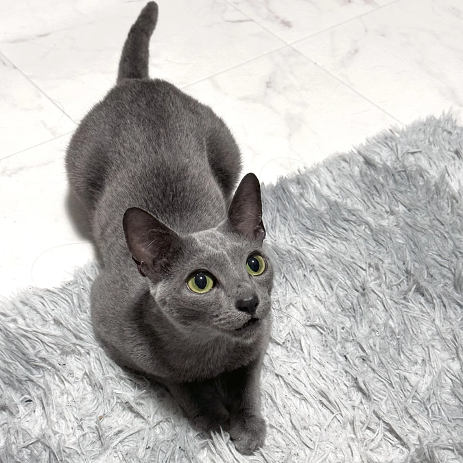 【残り3️⃣日💦】投薬79日目