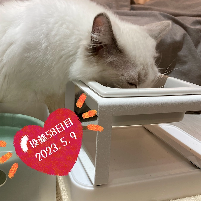 投薬５８日目(2023.5.9)＆ご支援のお知らせ