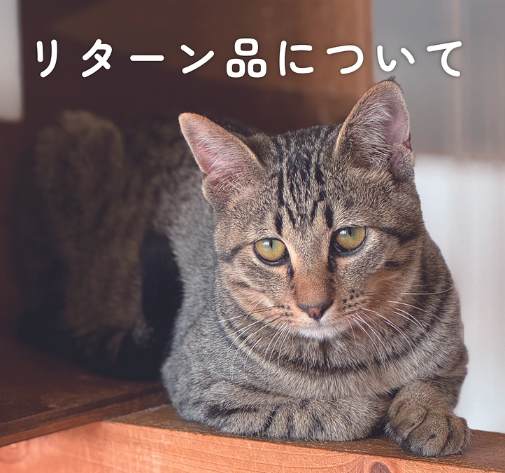 リターン品の発送が完了しました！