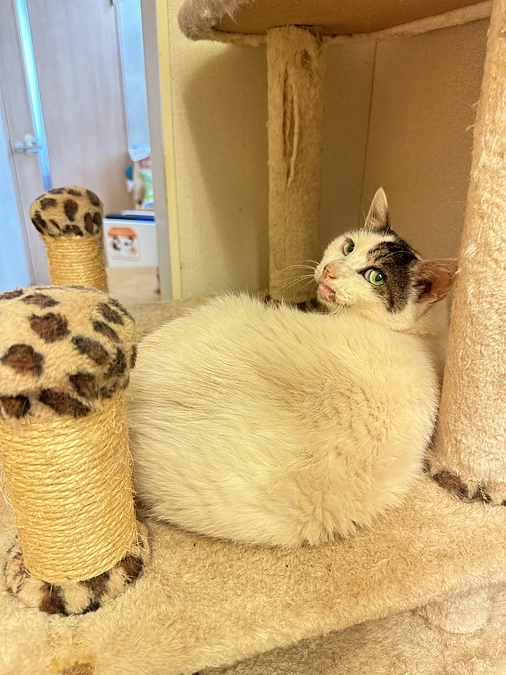 応援メッセージをいただきました！②