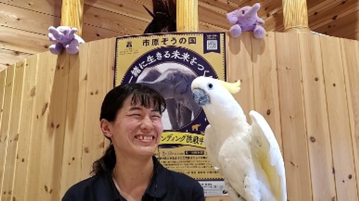 スタッフからのメッセージ☆最終日まであと7日