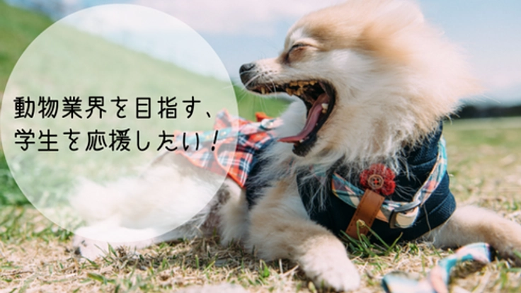 動物業界を目指して頑張る高校生のために、進学相談会を開催！