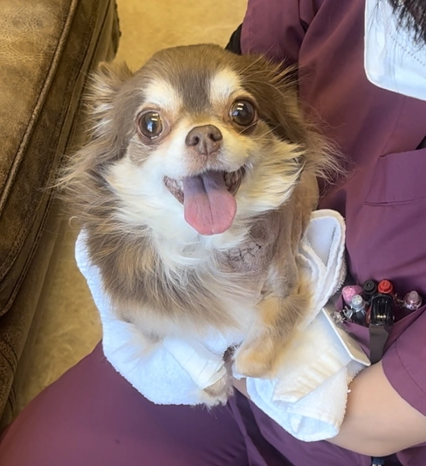 面会の様子を動画でご報告