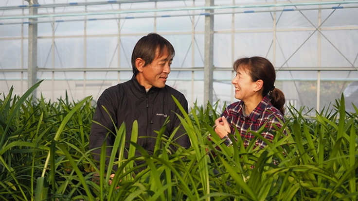【西日本豪雨】自慢のシンビジウム。花農家としての復活を！！