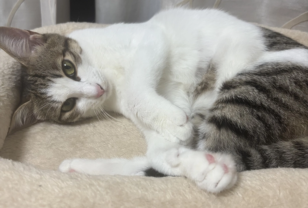 通院4度目のご報告