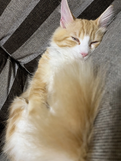 投薬46日目の様子