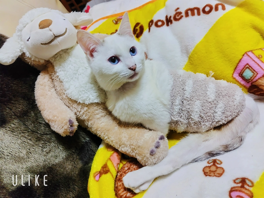 お友達とついに…！