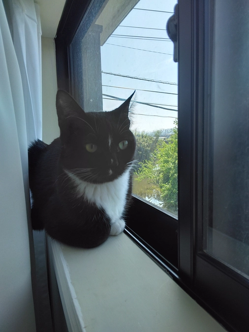 4/27はなちゃんの様子