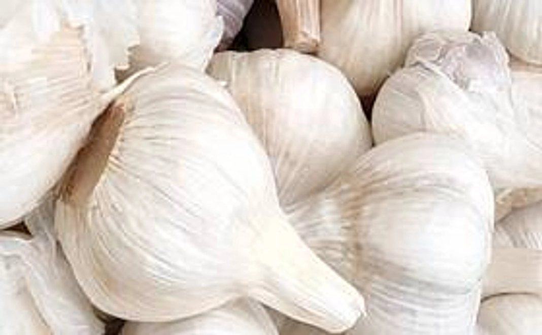 白にんにく500g