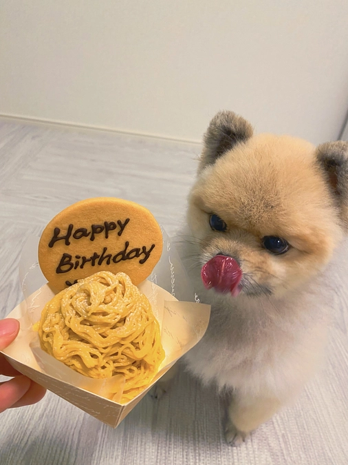 ケーキありがとうございます。