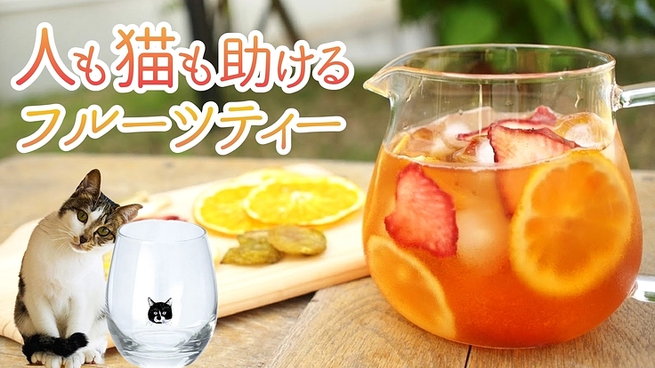 ドライフルーツをリターンに保護猫施設×障がい者雇用をダブルで支援！