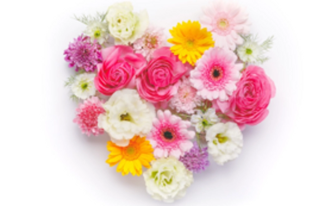 支援をして下さる方へ、感謝の気持ちを込めて