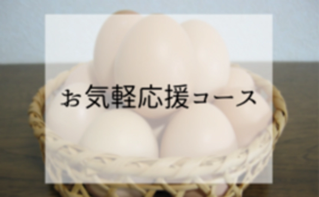 お気軽応援コース