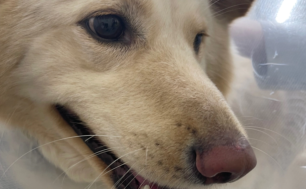 ほんの気持ち1000円コース