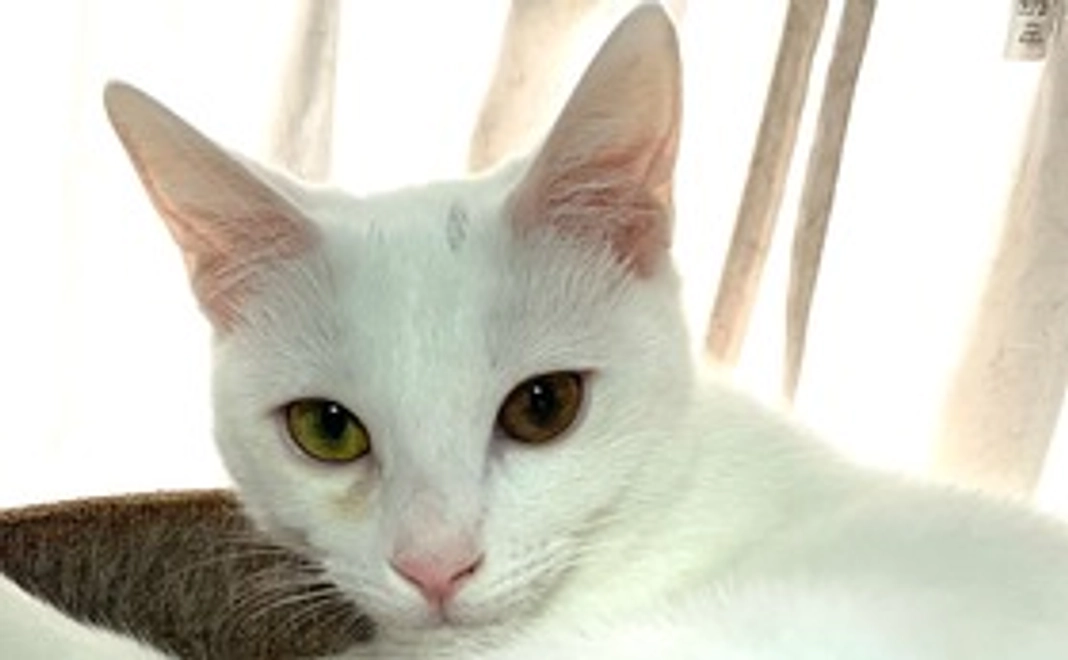 【リターン不要】10,000円コース