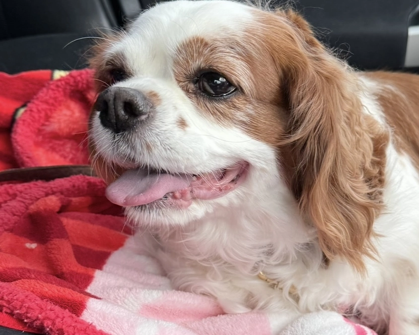 残り3日しかありません😭【56日目】