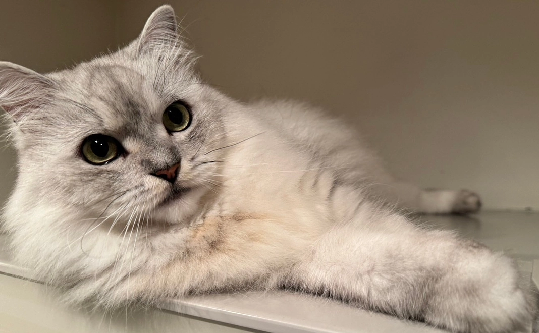 感謝のメール　2