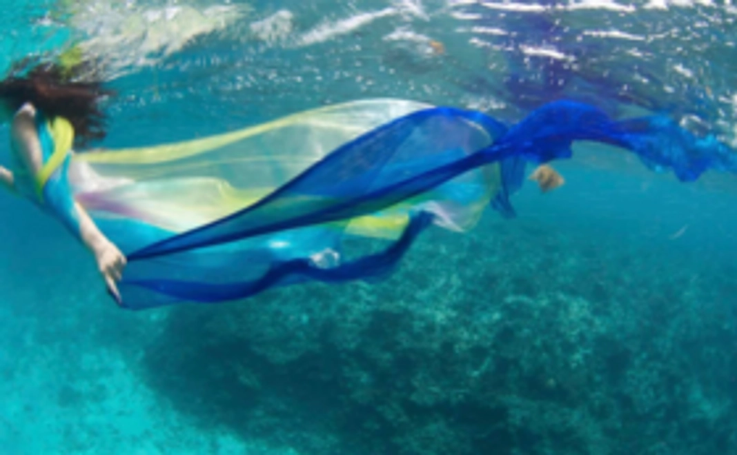 1.公演フル映像限定視聴プラン