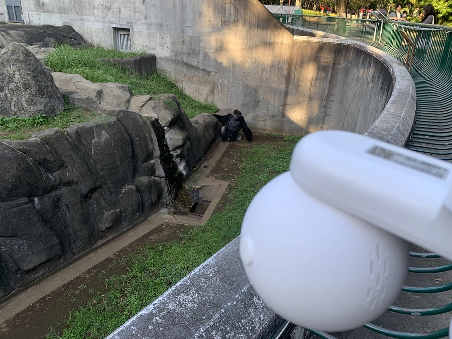 『ついに植樹日決定しました！』　＆　『京都市動物園さんクラファン挑戦中のお知らせ』