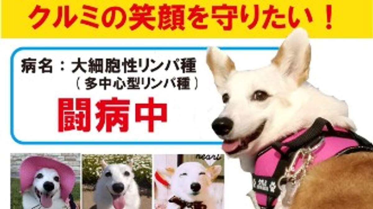 目標達成ありがとうございます😢