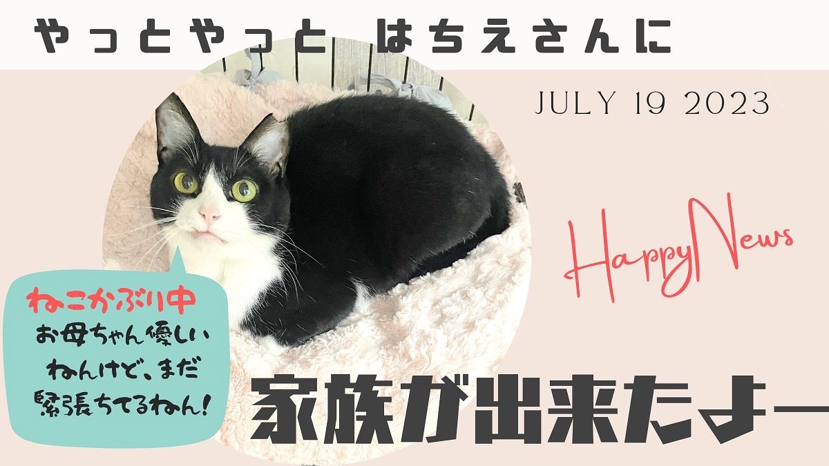 はちえさんが里親に行きました。