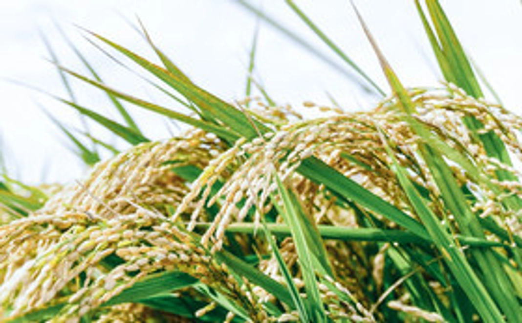 白山麓へ遊びに来まっし！