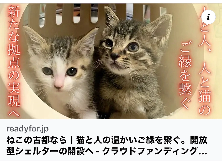 代理支援をしてくださった方へお詫びとご報告