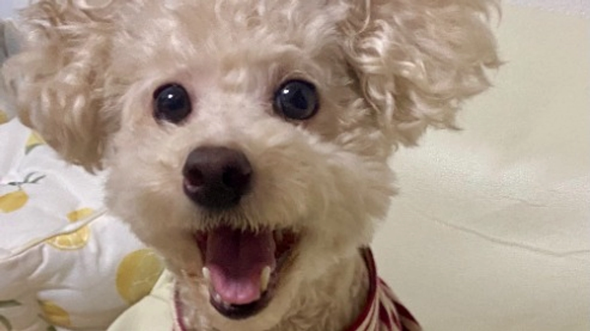 術後1か月検診に行ってきました！