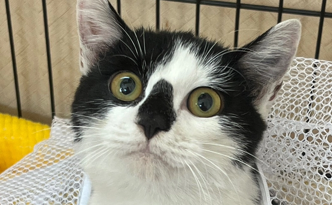 ホームページにて会社名・法人名の記載及びリンクの設定をさせて頂きます。