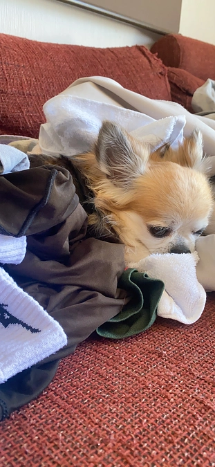 大好きなこと❤️