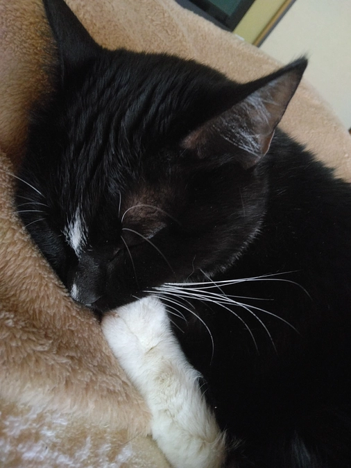 5/5はなちゃんの様子