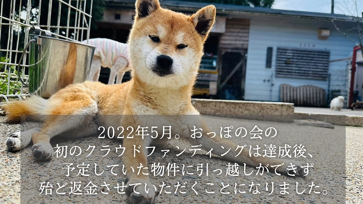 【緊急支援】おっぽの会の悲願「病院近くのシェルター移転」の実現へ! 3枚目