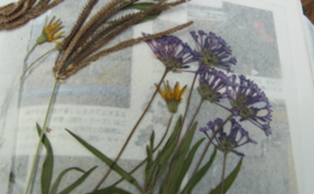 ケニアの山の宿から感謝を込めて