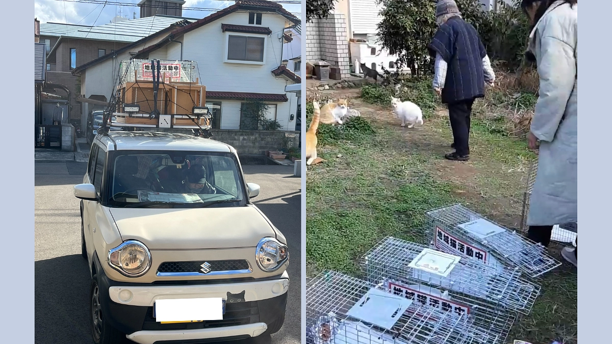 【350万突破！】40匹の現場へ！84歳のおばあちゃんの限界を近所の人は見て見ぬふり…私達が動きます