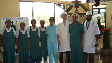 財政破たんした紅茶の国スリランカを紅茶葉発注で雇用を支援 のトップ画像