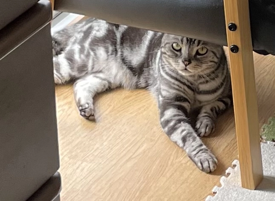 本日の銀時(投薬57日目)