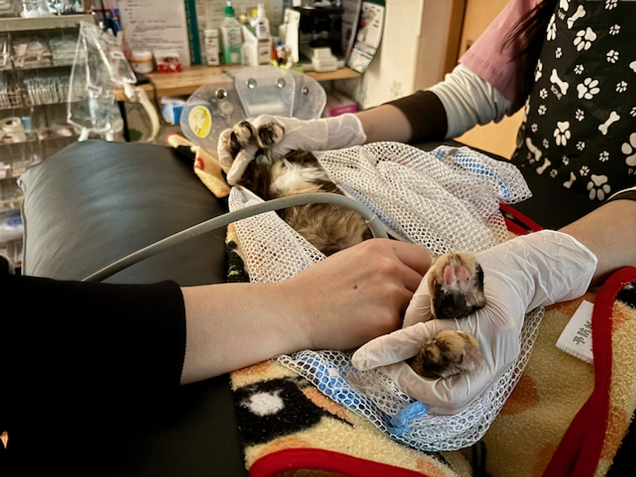 お礼とお知らせ２０２４年３月３０日