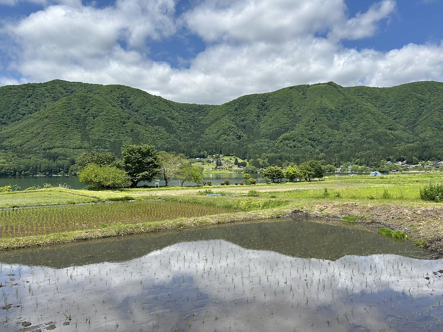 コモンズ新聞　6月号　2作目の完成に向けて、本格始動！