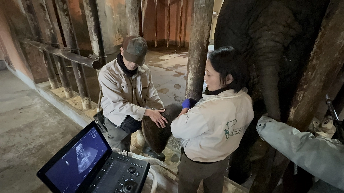 園長がラジオに出演し、クラウドファンディングの取り組みについて紹介しました！