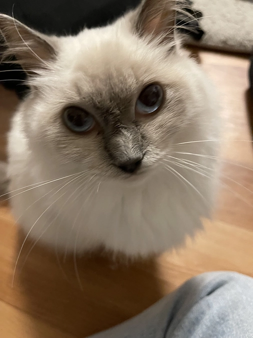 クラウドファウンディング